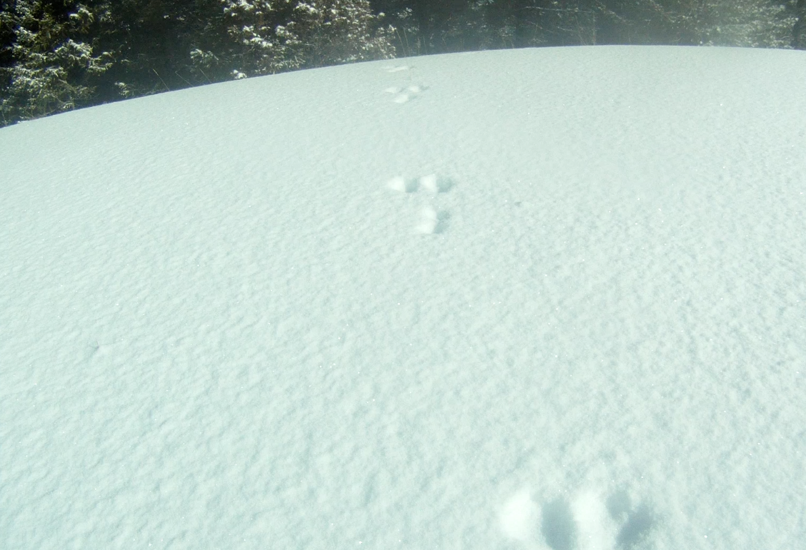 Screen Shot 2014-03-04 at 8.45.04 AM