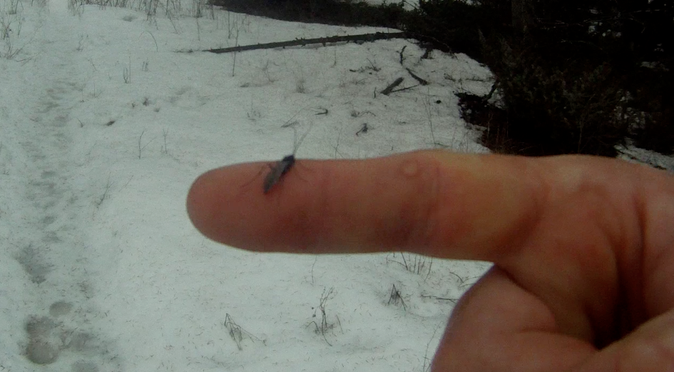 Screen Shot 2014-03-10 at 9.32.24 AM