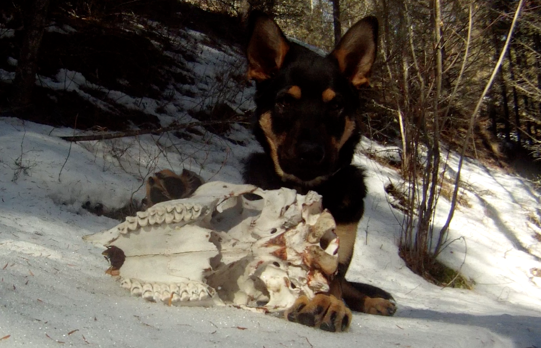 Screen Shot 2014-03-12 at 9.15.09 AM