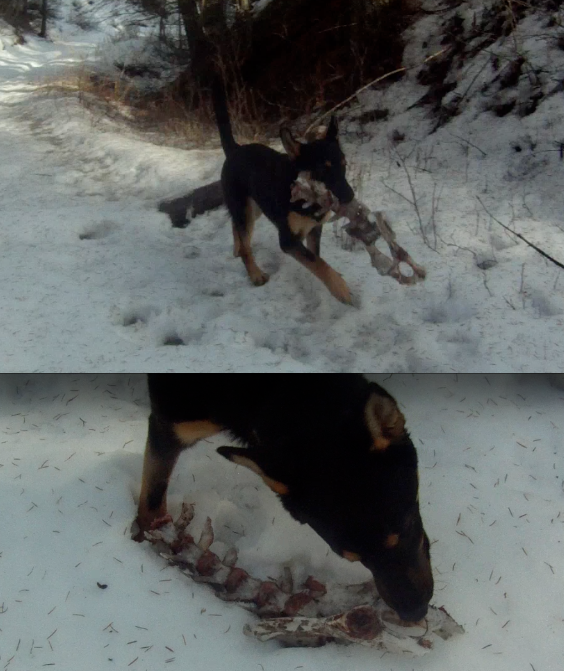 Screen Shot 2014-03-12 at 9.29.31 AM