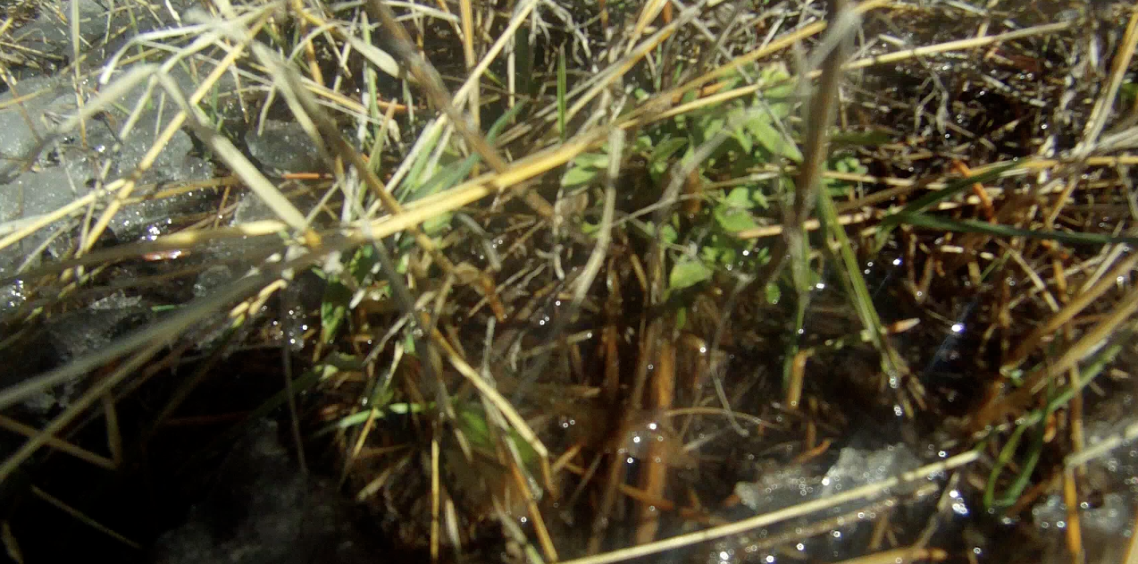 Screen Shot 2014-03-15 at 9.31.15 AM