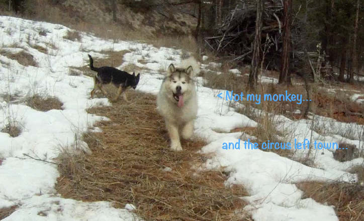 Screen Shot 2014-03-19 at 5.53.23 PM