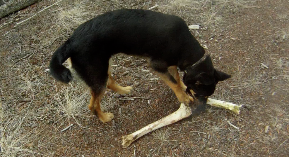 Screen Shot 2014-03-19 at 5.56.29 PM