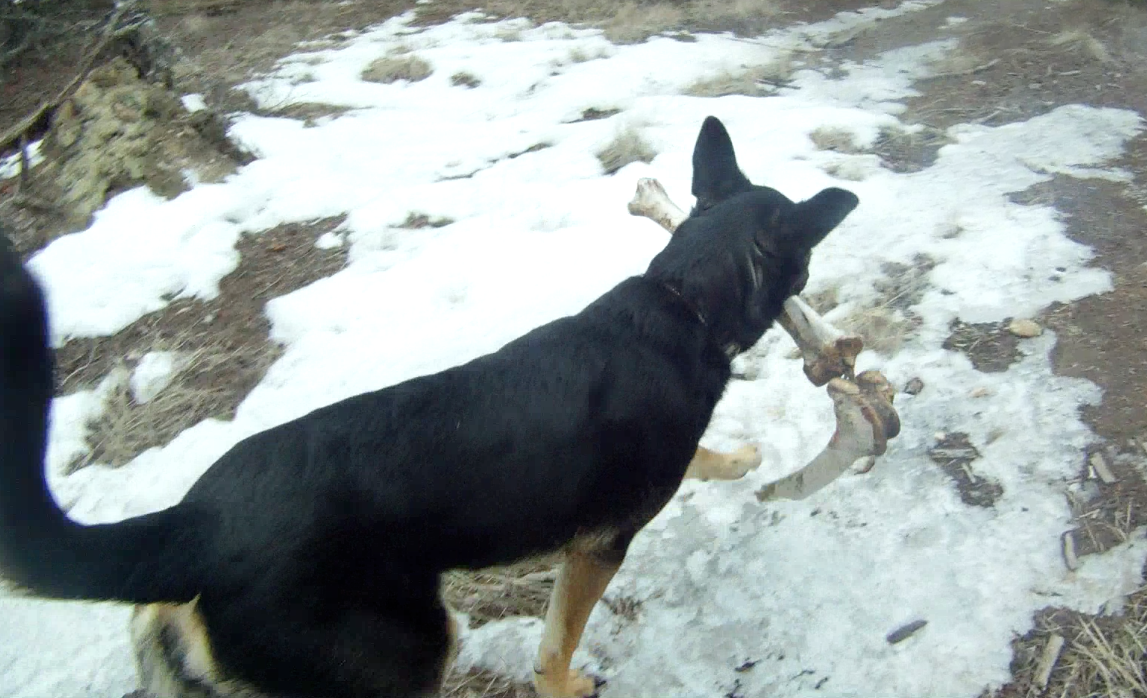 Screen Shot 2014-03-19 at 5.57.07 PM