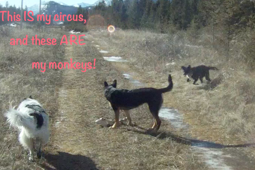 Screen Shot 2014-03-19 at 6.06.01 PM