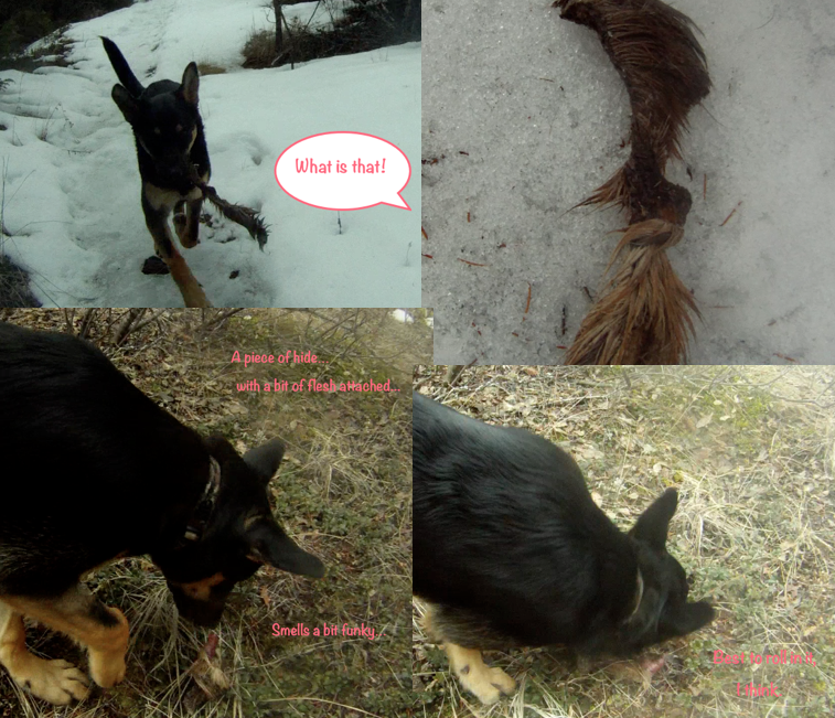 Screen Shot 2014-03-19 at 6.36.48 PM