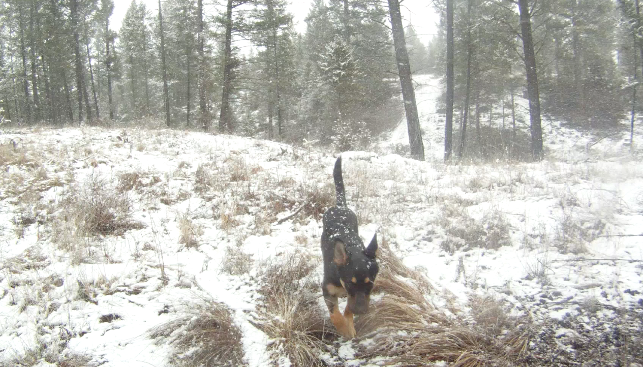 Screen Shot 2014-03-21 at 8.47.52 AM