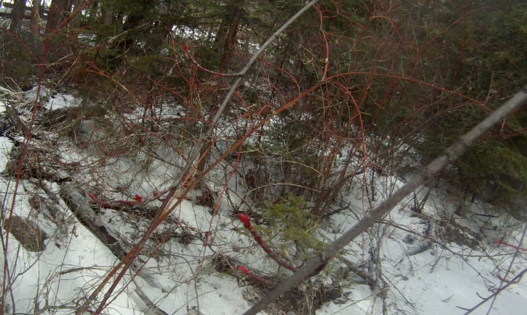 Screen Shot 2014-03-24 at 8.22.26 AM