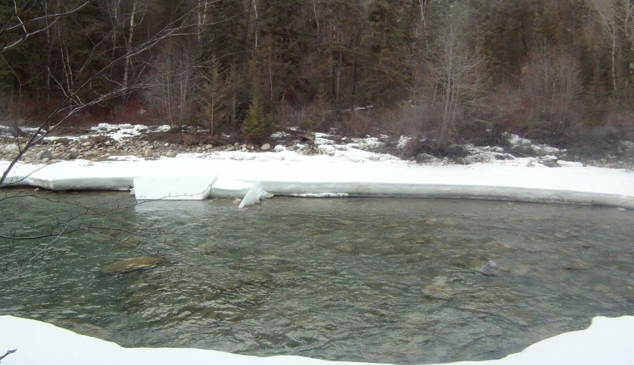 Screen Shot 2014-03-24 at 8.23.41 AM