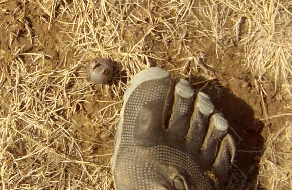 Screen Shot 2014-04-02 at 9.14.34 AM