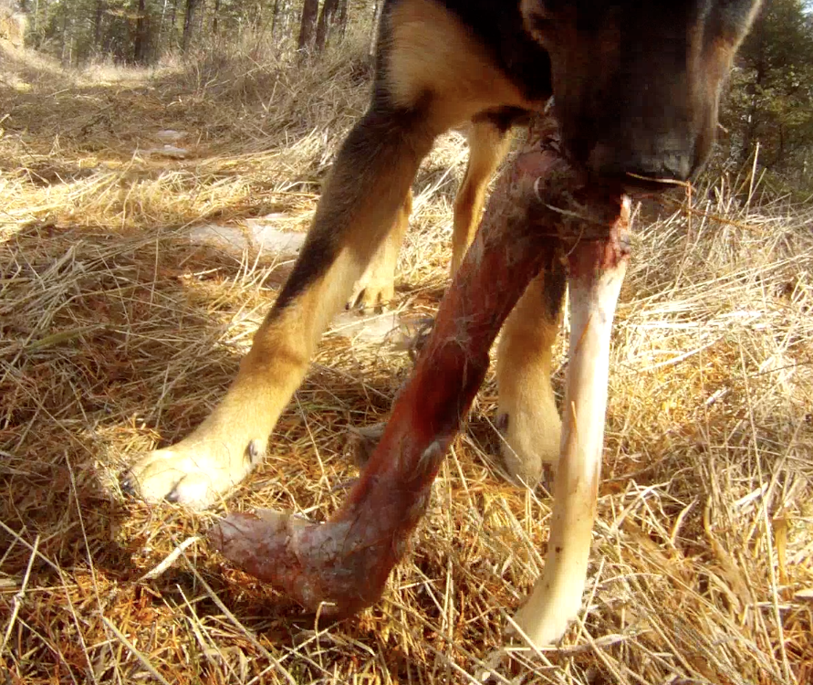 Screen Shot 2014-04-03 at 8.50.03 AM