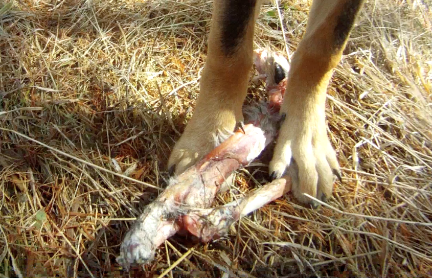 Screen Shot 2014-04-03 at 8.51.33 AM