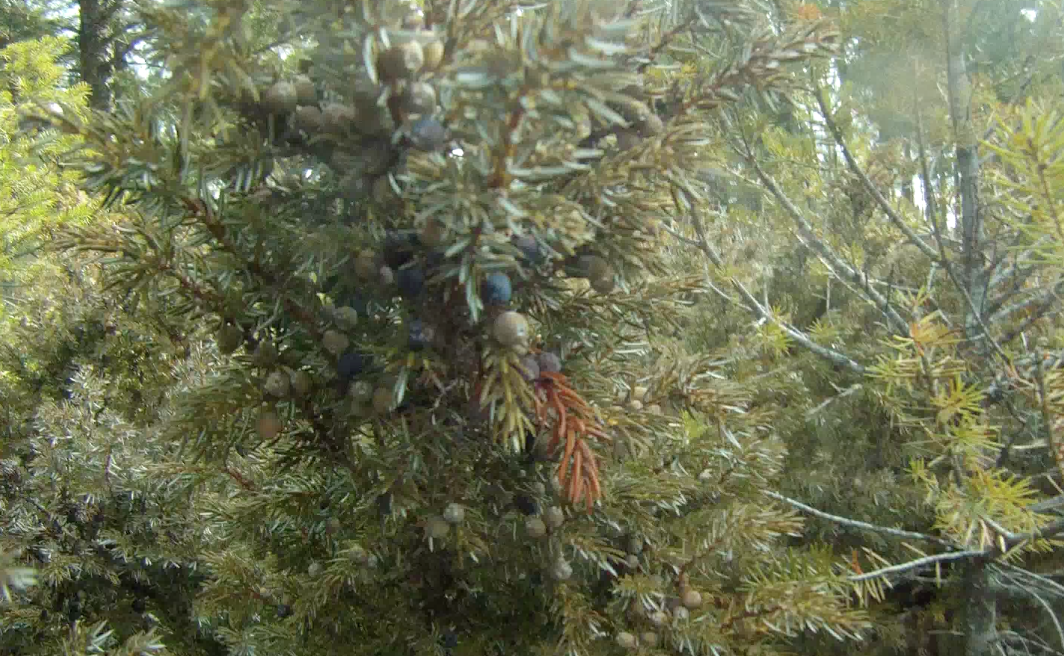 Screen Shot 2014-04-04 at 8.47.05 AM