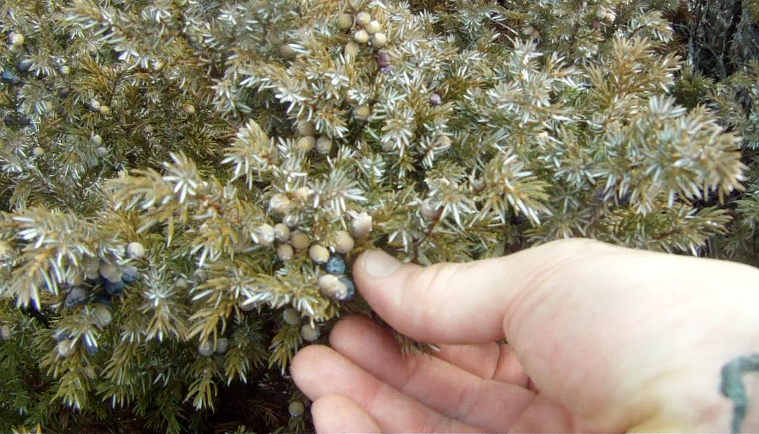 Screen Shot 2014-04-04 at 8.48.38 AM