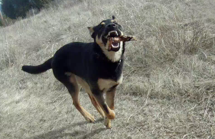 Screen Shot 2014-04-06 at 8.09.48 AM