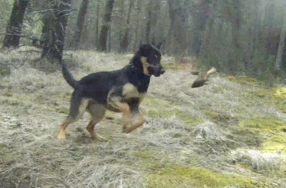 Screen Shot 2014-04-06 at 8.14.08 AM