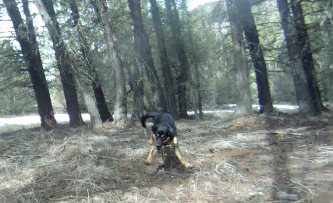 Screen Shot 2014-04-06 at 8.15.39 AM