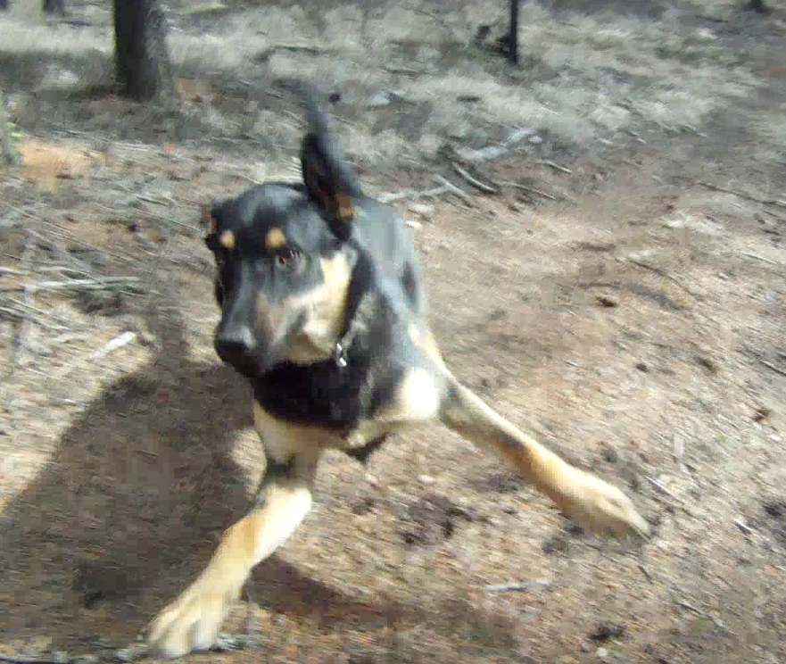 Screen Shot 2014-04-06 at 8.16.52 AM