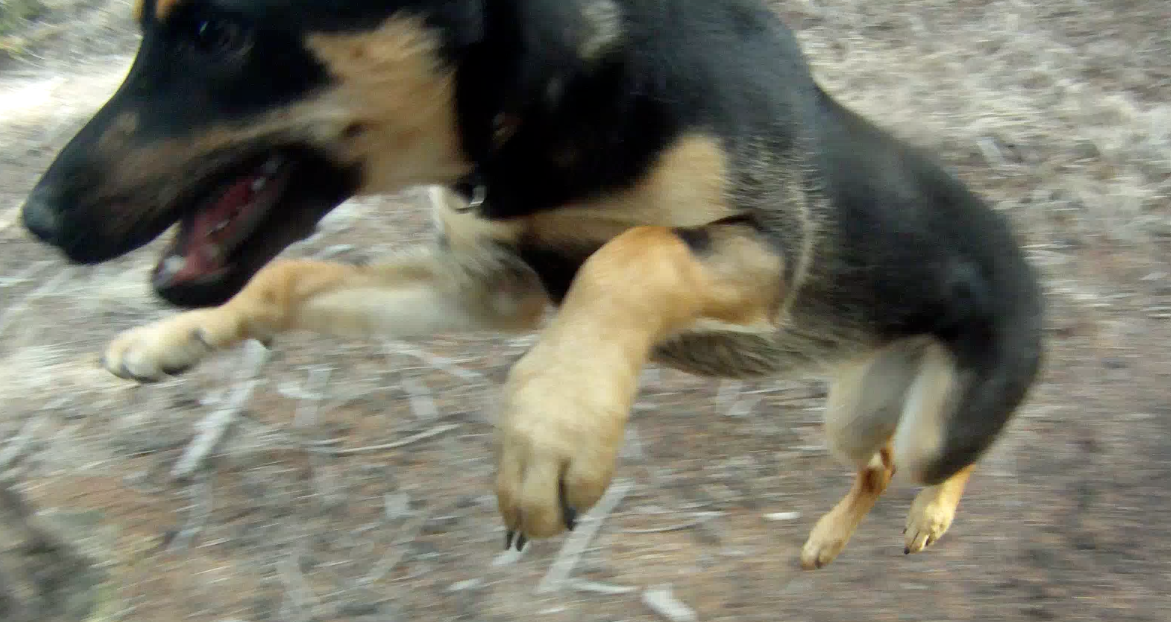 Screen Shot 2014-04-06 at 8.20.28 AM