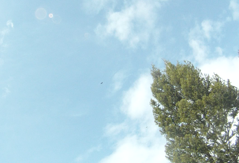 Screen Shot 2014-04-09 at 8.44.48 AM