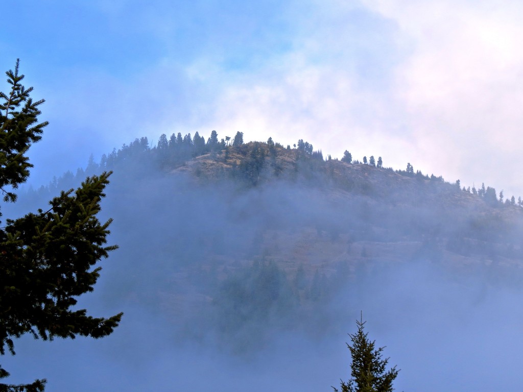 Height of Understanding