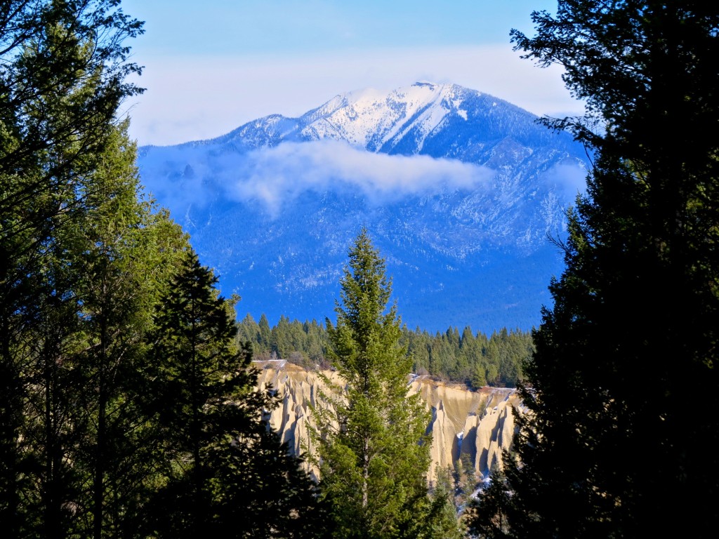 Parting of the Curtains