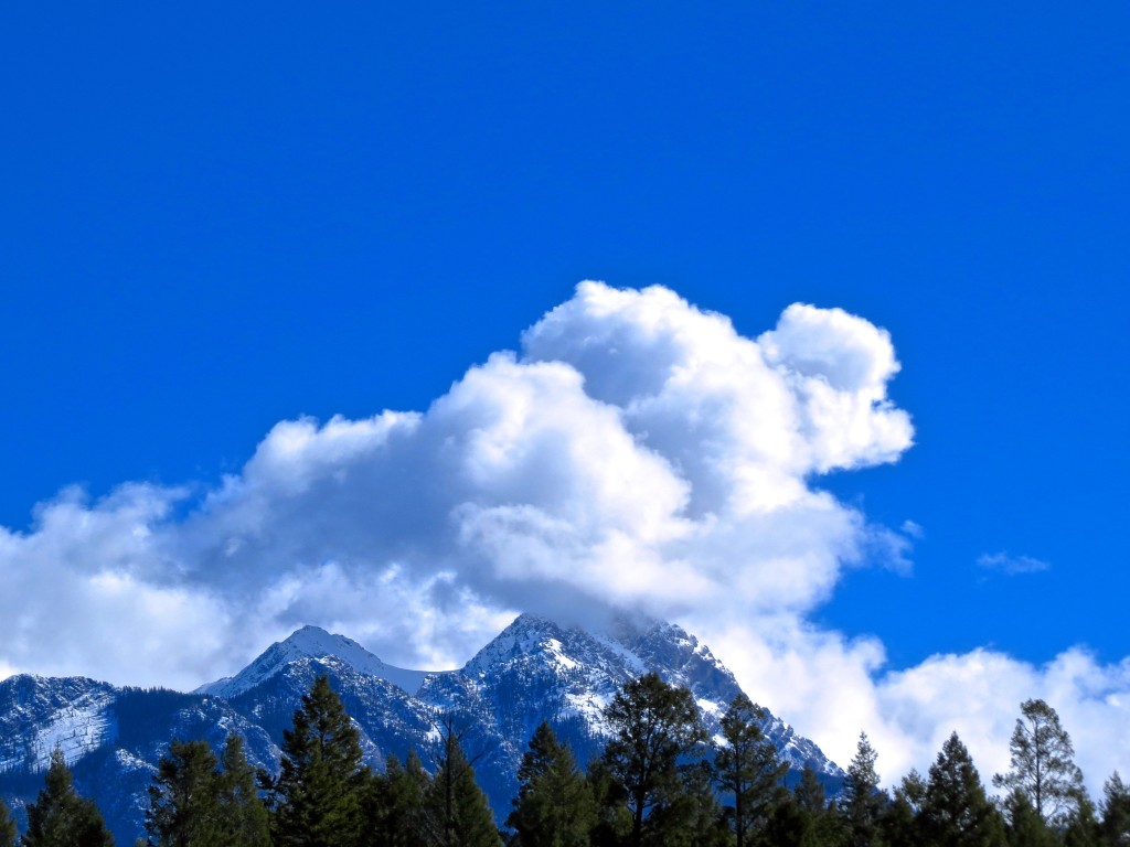 Hey! A Cloud!