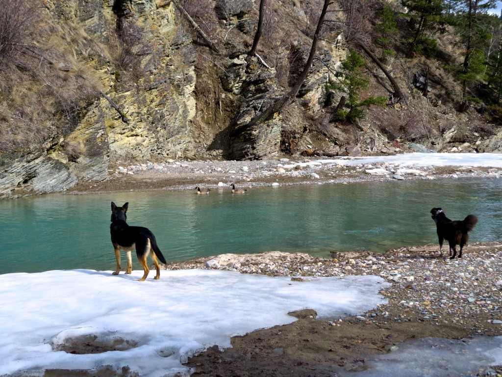 Onlookers