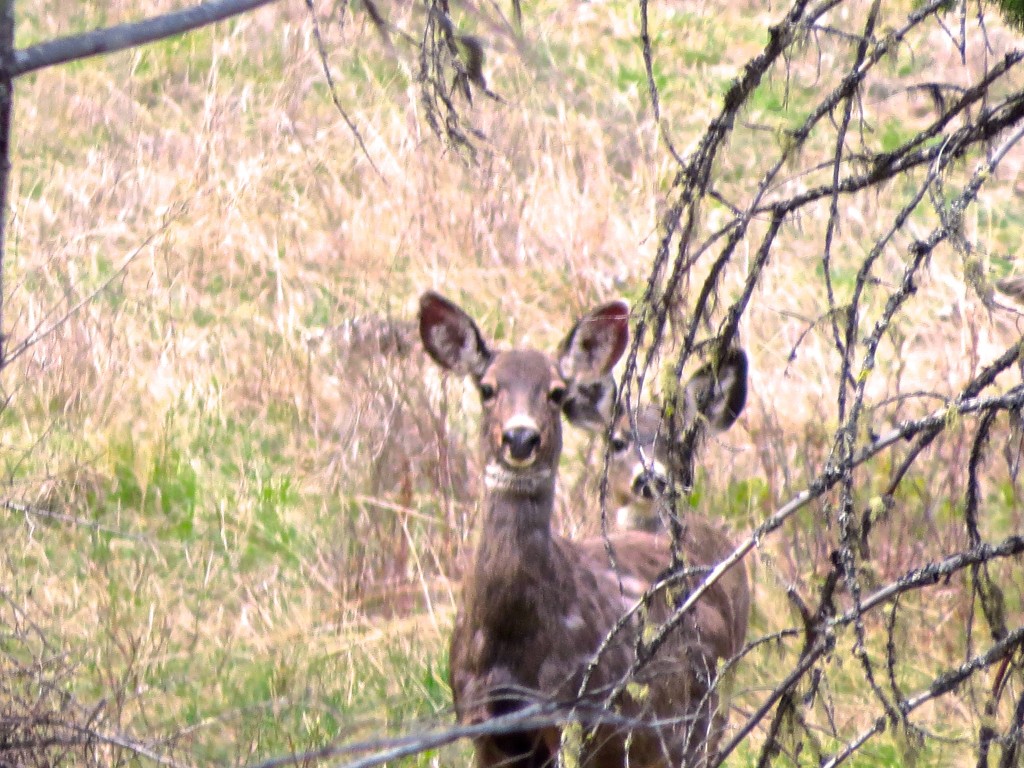 Curious & Vigilant