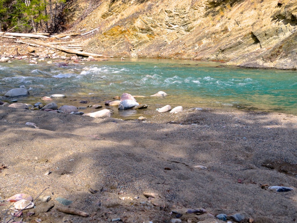 Where the Cool Fish Hang