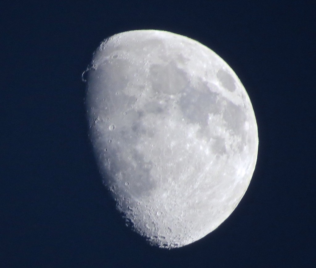 Evening Moon