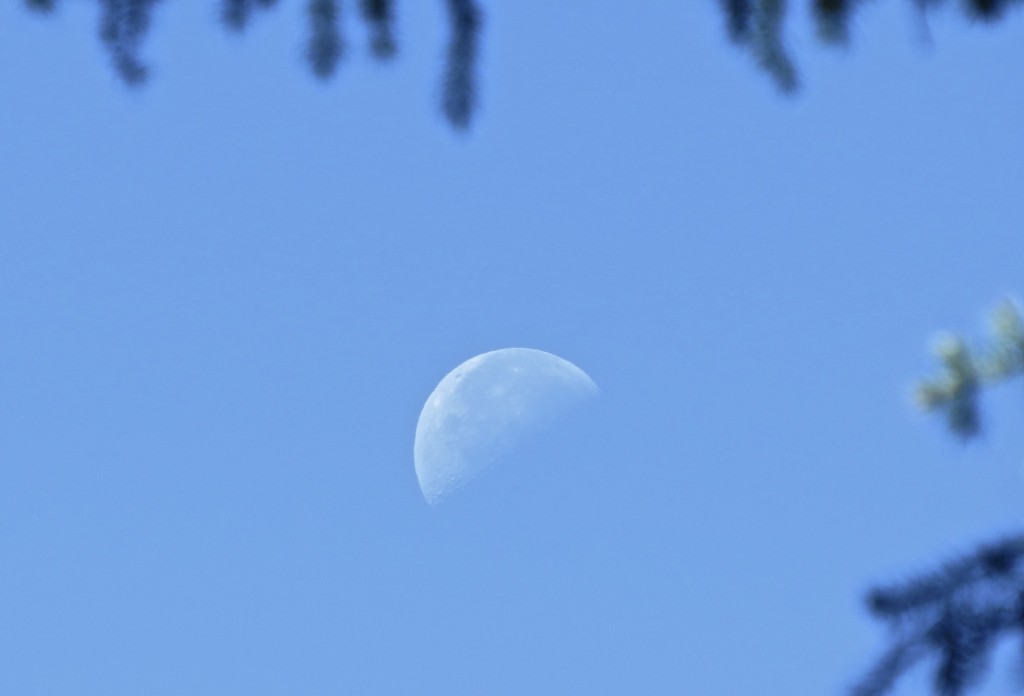 Summer's Day Moon