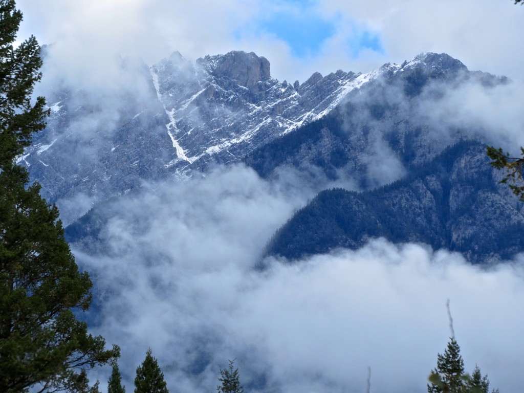 Late Summer Snow