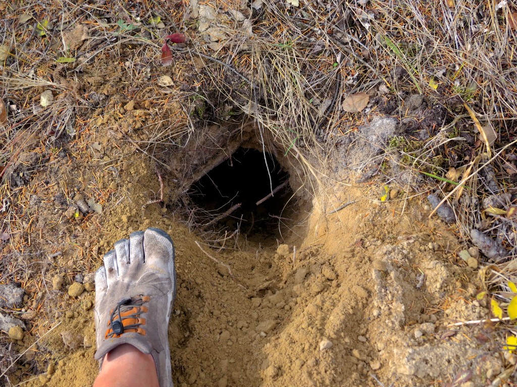 Badger Tunnel