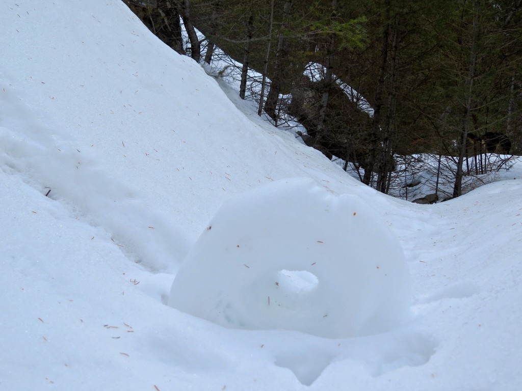 Self-Rolling Snowball (Powdered Donut with Sprinkles)